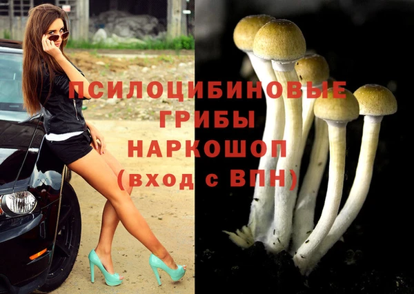 MDMA Premium VHQ Каменногорск