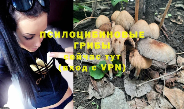 MDMA Premium VHQ Каменногорск