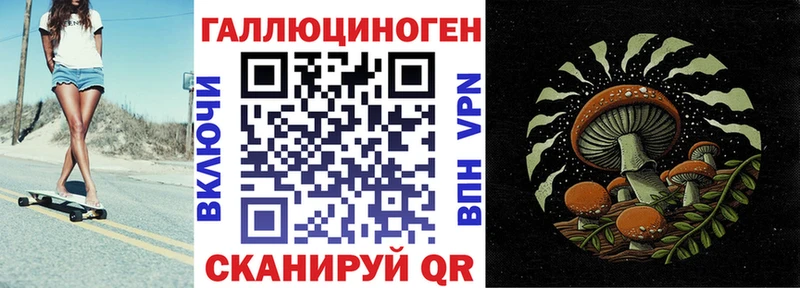 Купить закладки  Вилюйск  Галлюциногенные грибы Magic Shrooms 